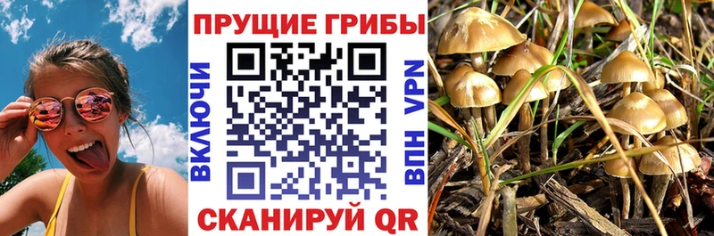 Псилоцибиновые грибы MAGIC MUSHROOMS  площадка Telegram  Кущёвская 
